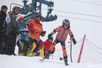 Соревнования по горнолыжному спорту в Малахово, Фото: 145