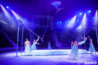 Премьера новогоднего шоу в Тульском цирке, Фото: 60