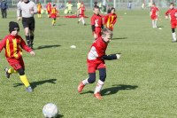 XIV Межрегиональный детский футбольный турнир памяти Николая Сергиенко, Фото: 25