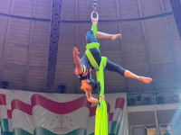 В Туле пройдет Международный детский и молодежный цирковой фестиваль «На языке мира», Фото: 1