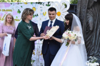 Единая регистрация брака в Тульском кремле, Фото: 14