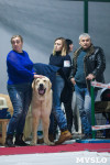 Выставка собак в Туле, Фото: 92