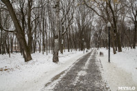 Рогожинский парк, зима 2019, Фото: 3