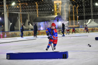 «Академия Михайлова» и Губернский каток 2025, Фото: 18