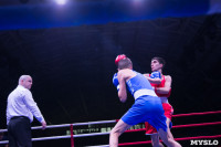 В Туле прошли финальные бои Всероссийского турнира по боксу, Фото: 57