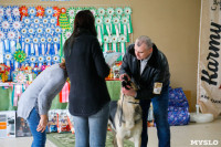 Выставка собак в Туле, Фото: 43