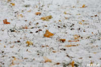 Первый снег в Туле, Фото: 16