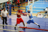 В Туле завершился межрегиональный турнир по боксу памяти Романа Жабарова, Фото: 40