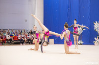 Соревнования по художественной гимнастике на призы благотворительного фонда «Земляки», Фото: 31