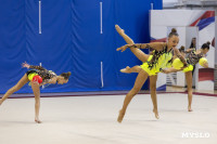 В Туле стартовало первенство Центрального федерального округа по художественной гимнастике, Фото: 100