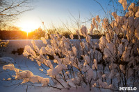Снежное Поленово, Фото: 59