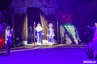 «Чудеса Новогодней Ёлки» ждут вас в Тульском цирке, Фото: 9