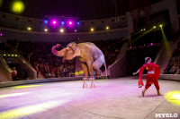 Цирк Инди Ра, Фото: 77