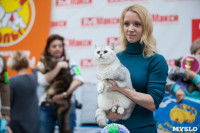 Международная выставка кошек, Фото: 47