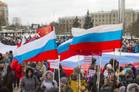 В Туле проходит митинг в поддержку Крыма, Фото: 27