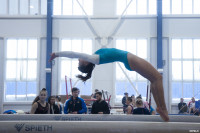 Всероссийские соревнования по спортивной гимнастике, Фото: 8