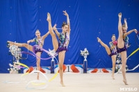 Соревнования по художественной гимнастике на призы благотворительного фонда «Земляки», Фото: 188