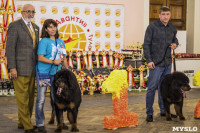 Выставка собак в ДК "Косогорец", Фото: 9