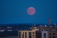 Осетровая Луна 2025, Фото: 8