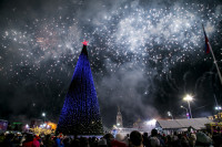 Открытие новогодней ёлки на площади Ленина, Фото: 46