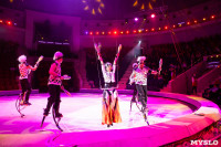 Звезды манежа в цирке, Фото: 39