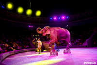 Цирк Инди Ра, Фото: 72