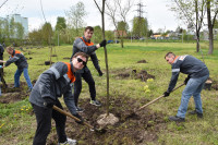 Сотрудники «ЕВРАЗ Ванадий» Тулы посадили деревья в Баташевском саду, Фото: 6