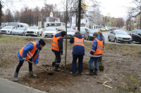 Вдоль веломаршрута «Лев Толстой» начали высаживать липы, Фото: 5