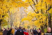 Золотая осень в Ясной Поляне, Фото: 118