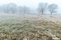 Ледяное утро в Центральном парке, Фото: 6