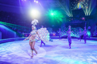Шоу Гии Эрадзе «5 континентов» в Тульском цирке: феерия уже началась!, Фото: 32