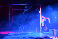 Цирковое шоу, Фото: 13