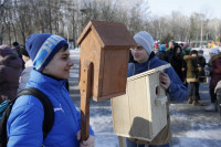 Птицы в городе. 26 февраля 2014, Фото: 6