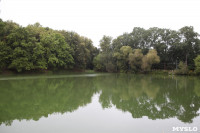 Загрязнение прудв в Платоновском парке, Фото: 2