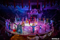 Шоу фонтанов «13 месяцев»: успей увидеть уникальную программу в Тульском цирке, Фото: 275