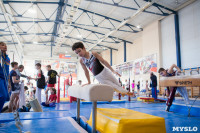 Мужская спортивная гимнастика в Туле, Фото: 27