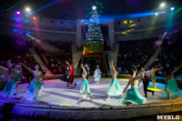 Премьера новогоднего шоу в Тульском цирке, Фото: 71