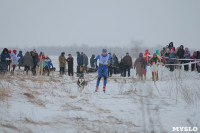 Гонки на собачьих упряжках «Большой тур» на Куликовом поле, Фото: 25