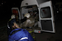 В Туле пожарные спасли двух человек, Фото: 4