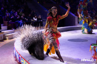 Цирковое шоу Жар птица, Фото: 131