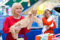 Международная выставка кошек в ТРЦ "Макси", Фото: 66