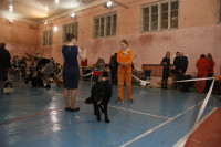 В Туле прошла всероссийская выставка собак, Фото: 5