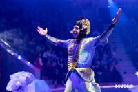 Цирковое шоу Жар птица, Фото: 45