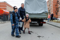 Администрация Тулы вместе с депутатами высадили клёны во дворе дома для военнослужащих в Туле, Фото: 30