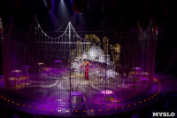 Шоу фонтанов «13 месяцев» в Тульском цирке – подарите себе и близким путевку в сказку!, Фото: 102