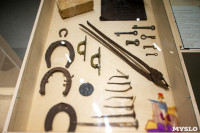 Мавзолей блохи, ктулку и медленное чтение Левши: в Туле открылся музей «Нимфозориум», Фото: 24