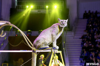 Цирк Инди Ра, Фото: 3