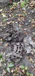 В Тульской области нашли обломки упавшего во время войны немецкого самолета, Фото: 3