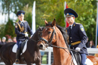 Кубок губернатора Тульской области по конкуру 2019, Фото: 53