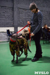 Выставка собак в Туле , Фото: 107